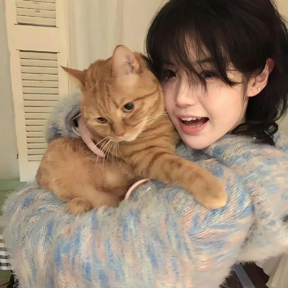 帕丁顿熊3:秘鲁大冒险