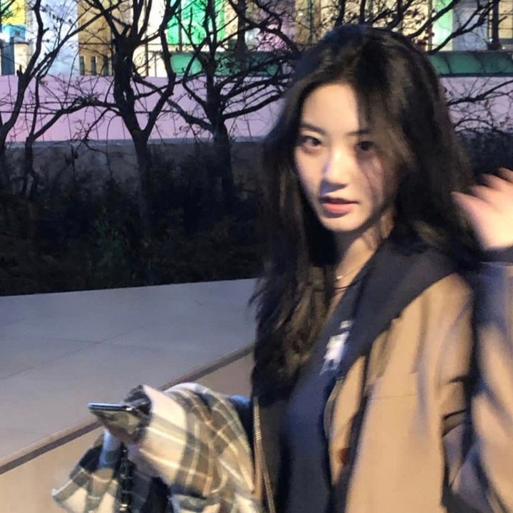 哈兰·科本的庇护所